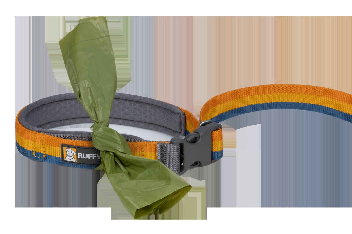 RoamerTM Bungee Dog Leash