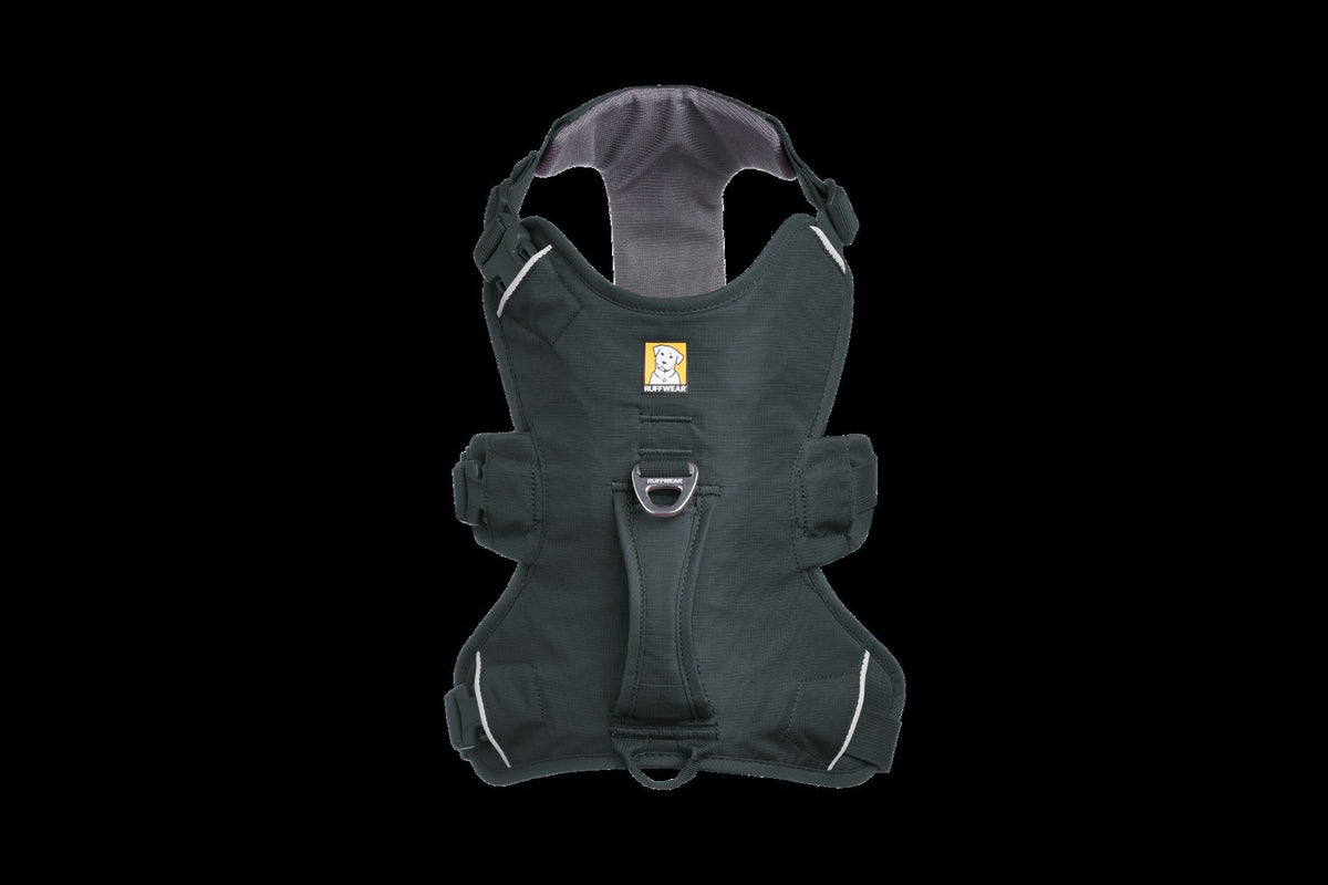Web MasterTM Dog Harness with Handle