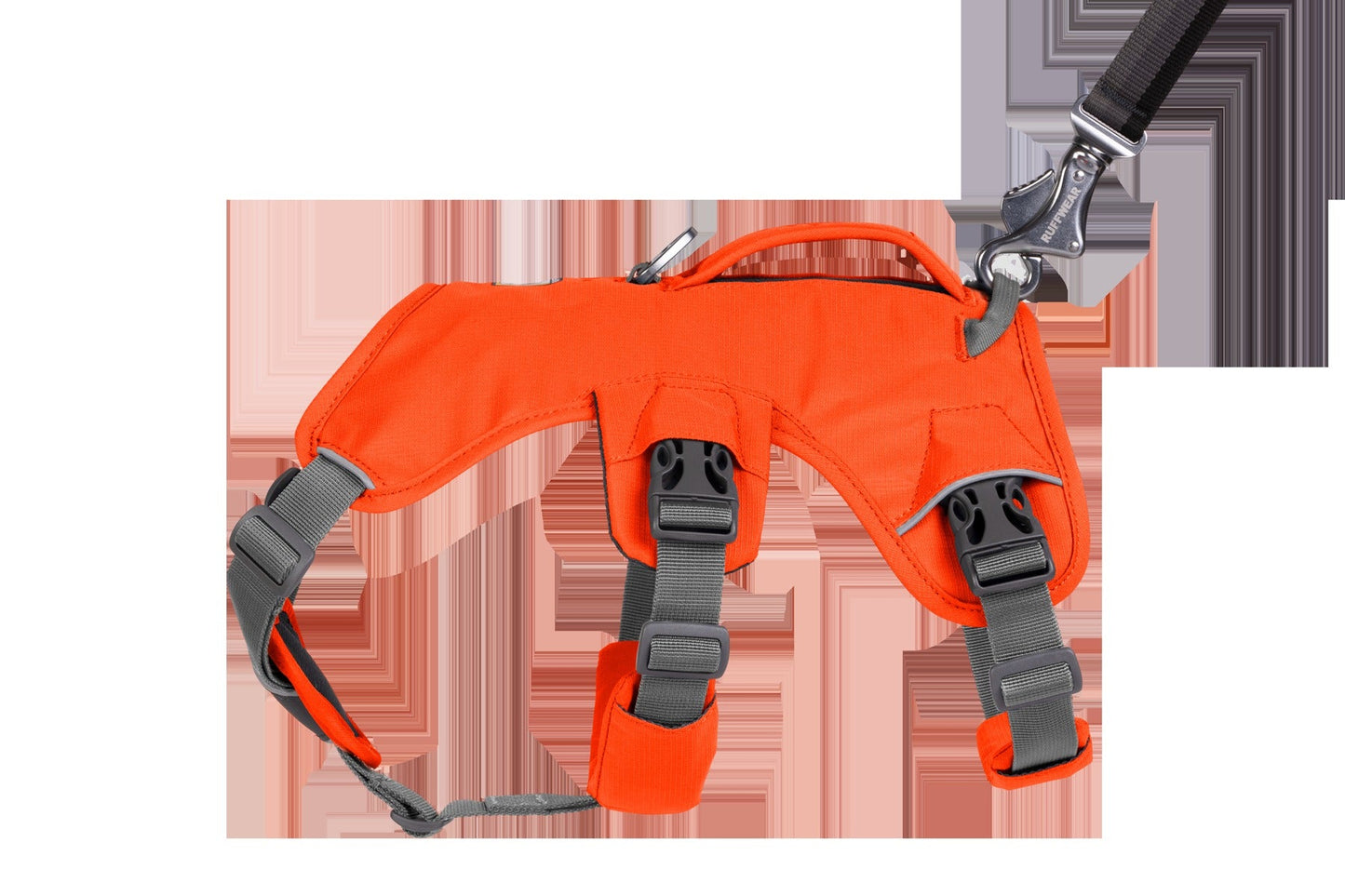 Web MasterTM Dog Harness with Handle