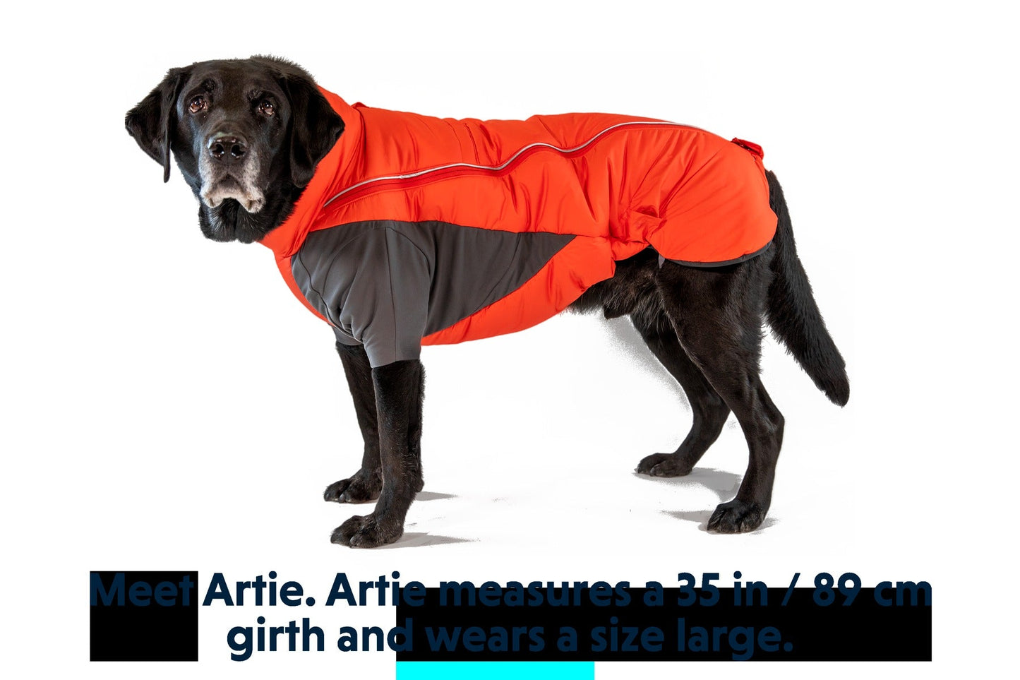 FurnessTM Dog Jacket