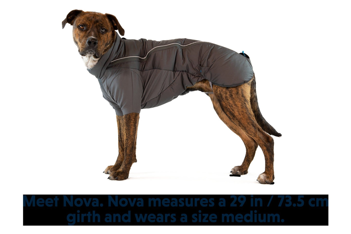 FurnessTM Dog Jacket