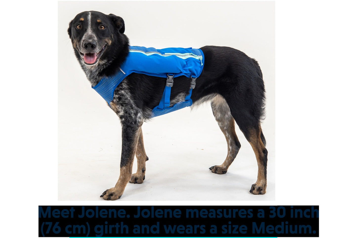 Trail RunnerTM Dog Running Vest