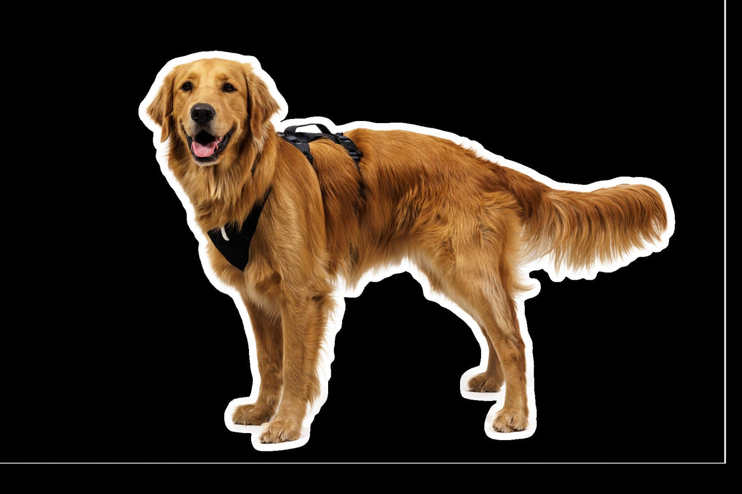 RidgelineTM Harness