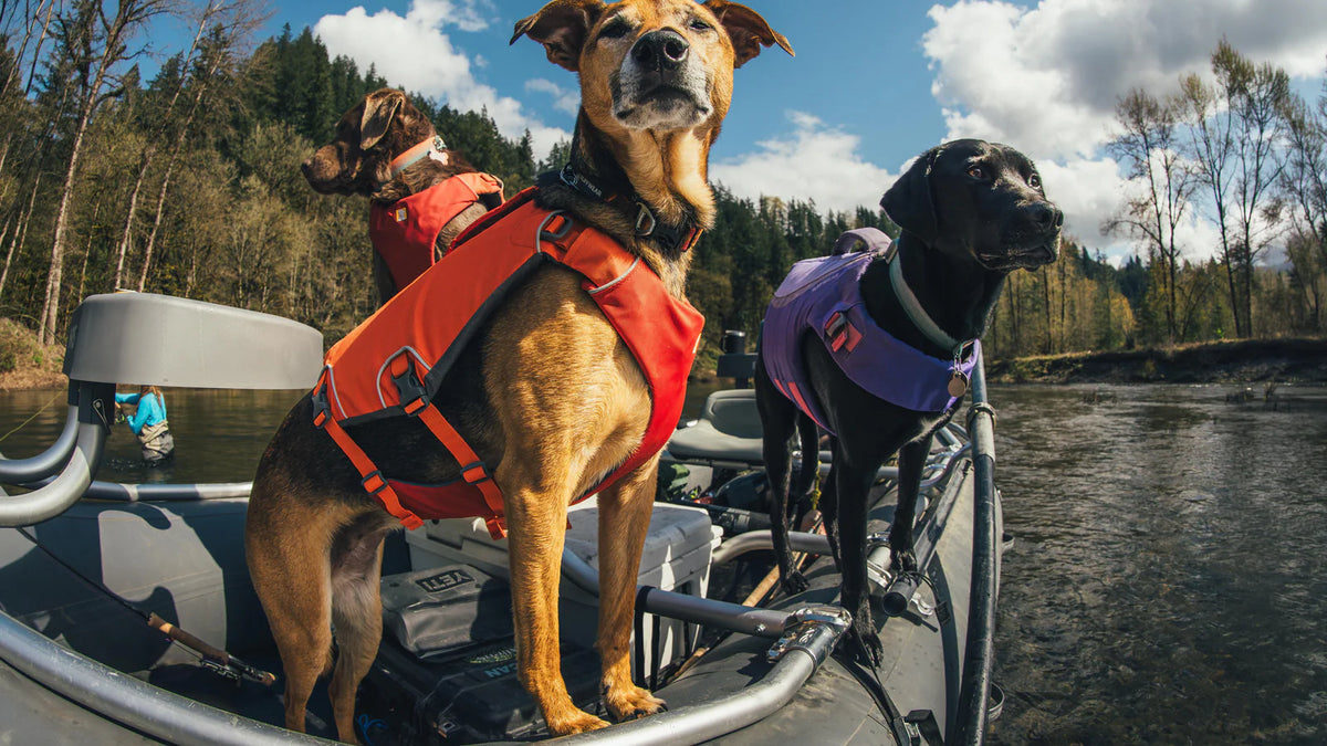 liuqs_job_89_home_01_663525ff80.webp