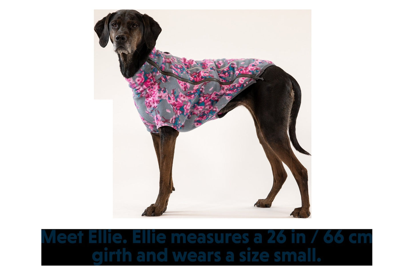 Climate ChangerTM Dog Fleece