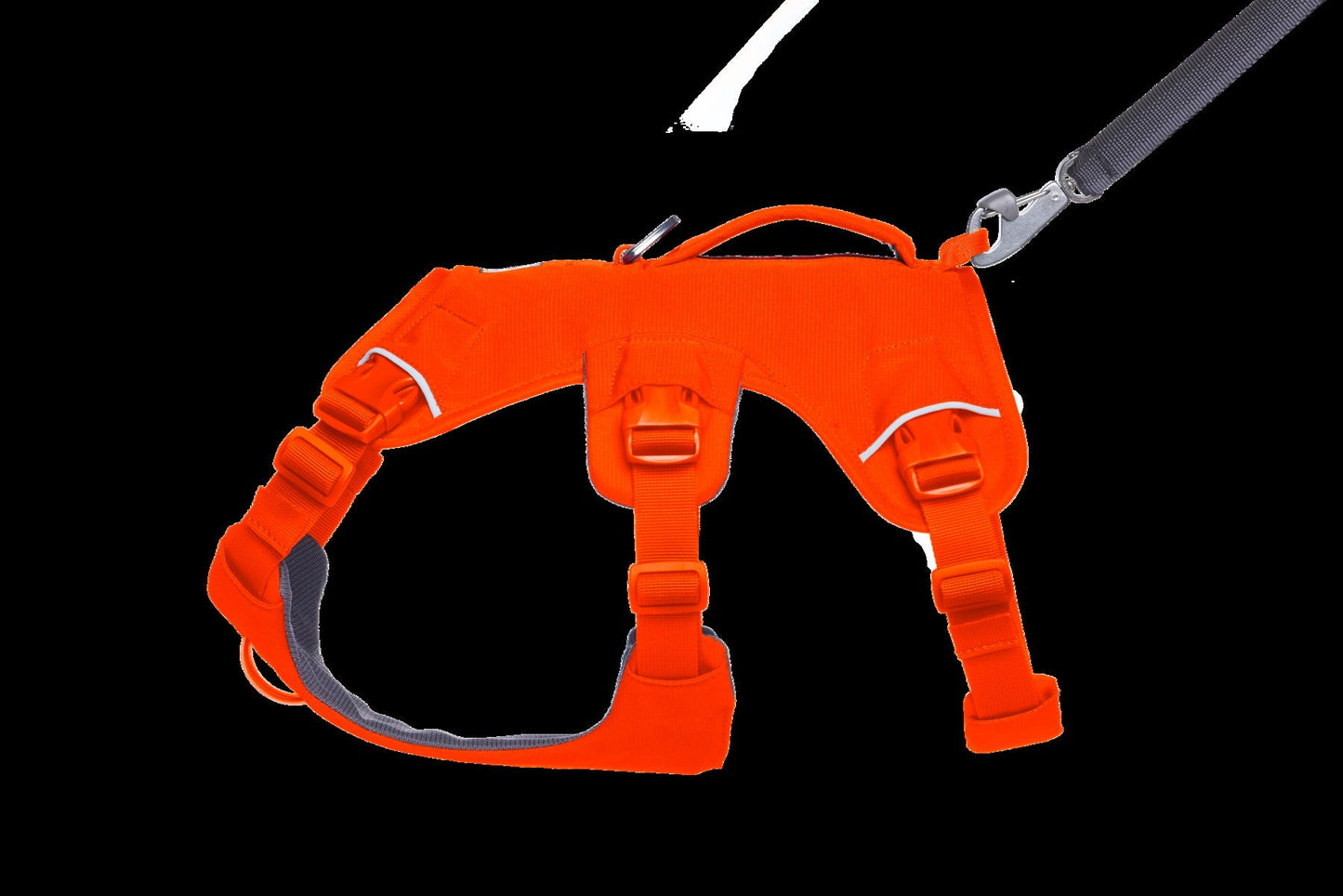 Web MasterTM Dog Harness with Handle