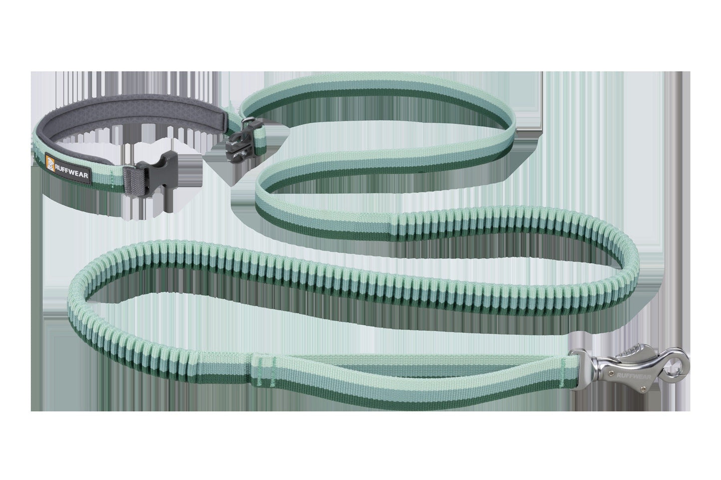 RoamerTM Bungee Dog Leash