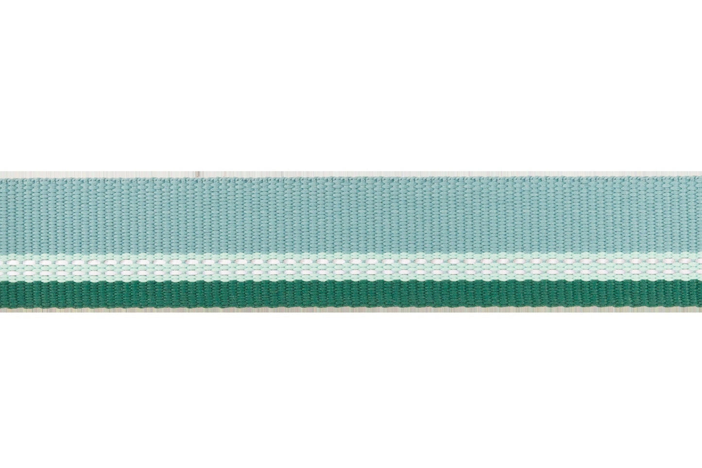 Top RopeTM Metal Buckle Dog Collar