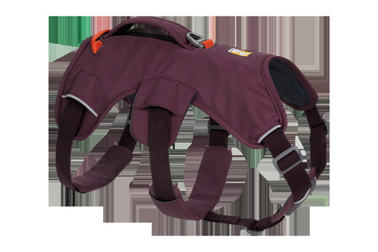 Web MasterTM Dog Harness with Handle