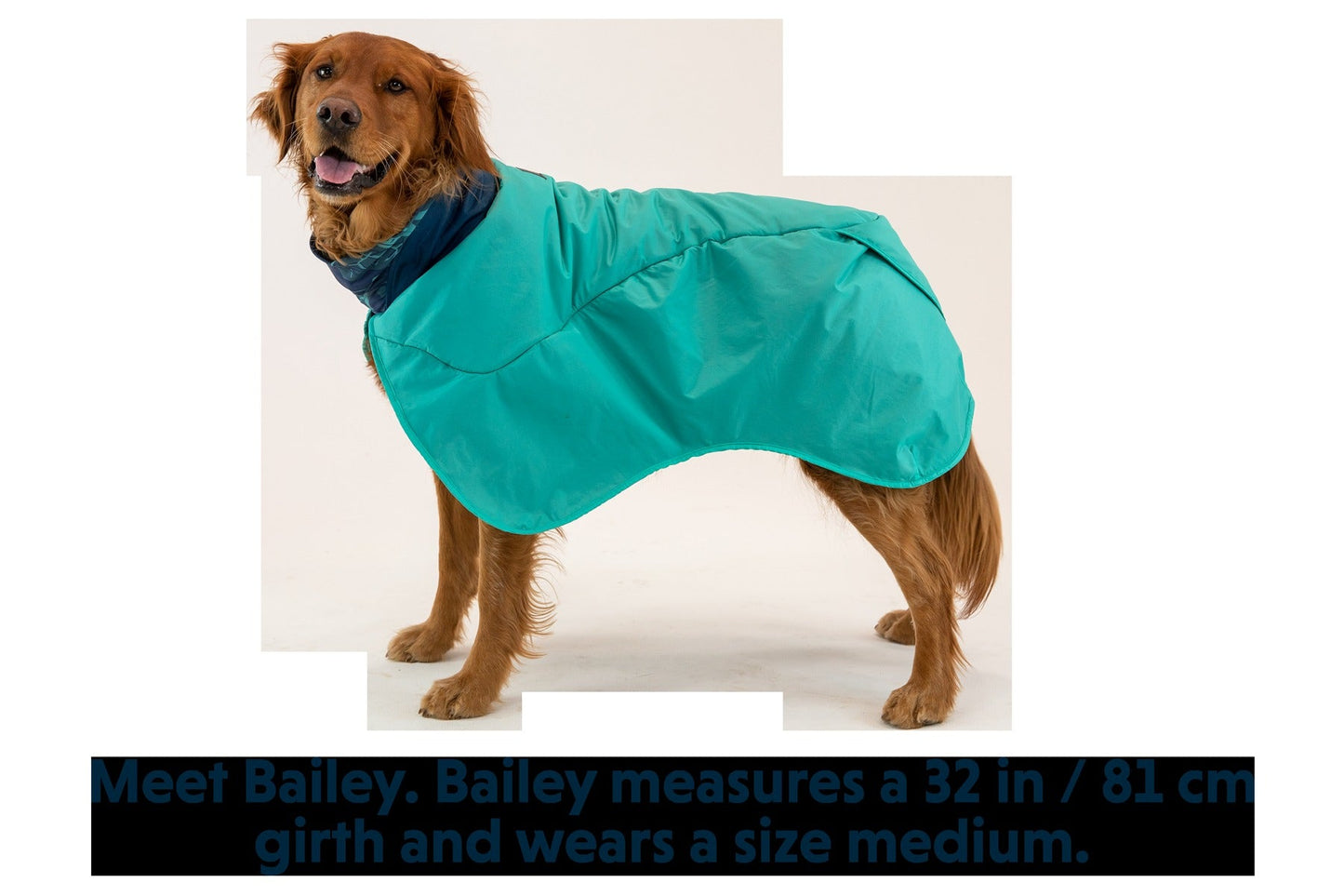 DirtbagTM Dog Towel