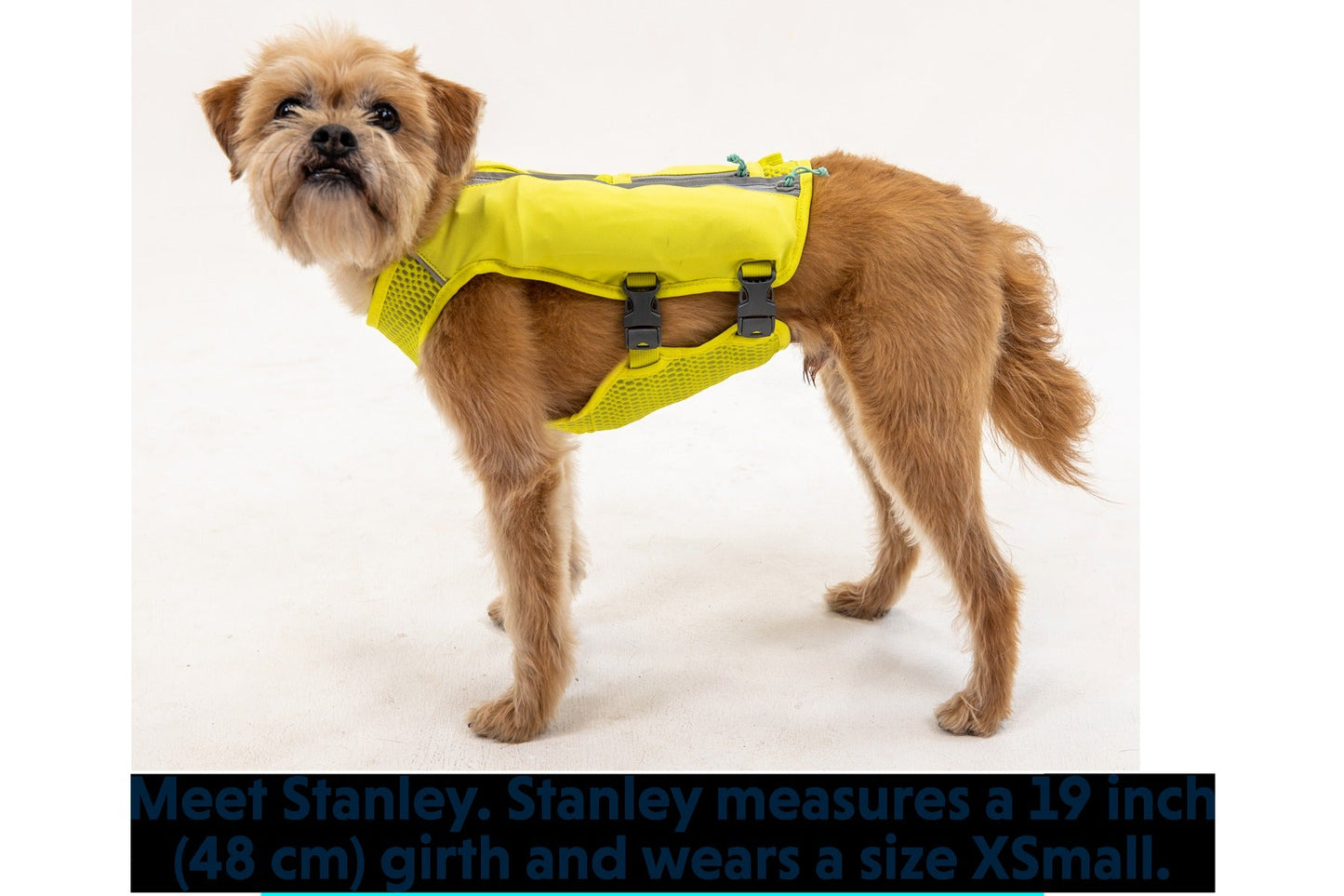 Trail RunnerTM Dog Running Vest