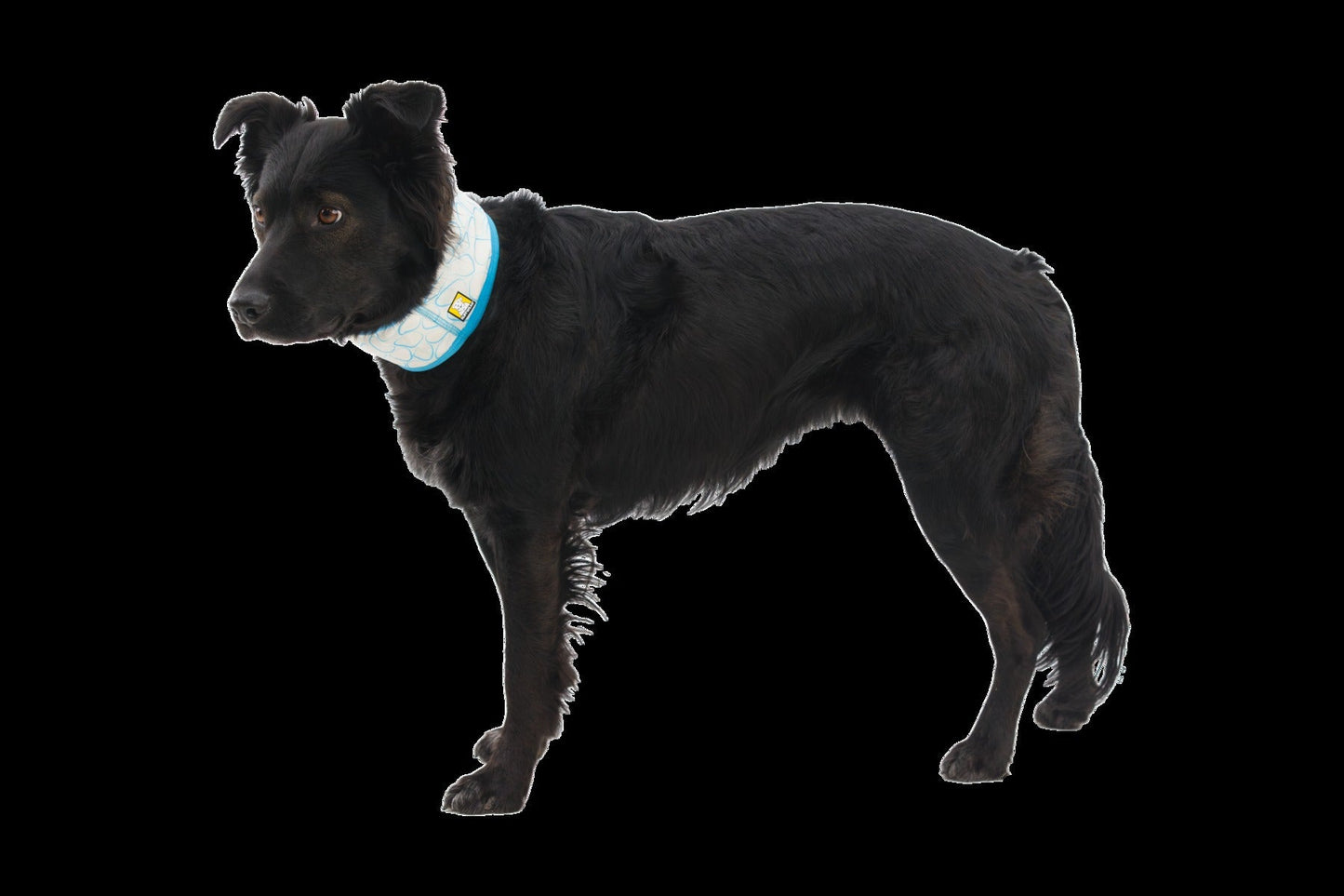 Swamp CoolerTM Cooling Neck Gaiter