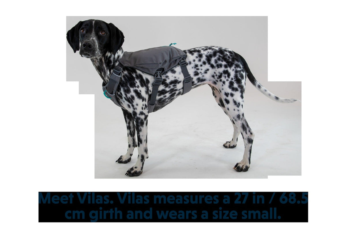 SwitchbakTM Dog Harness