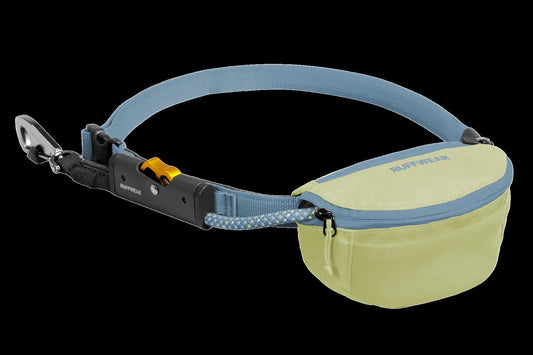 Hitch HikerTM Leash