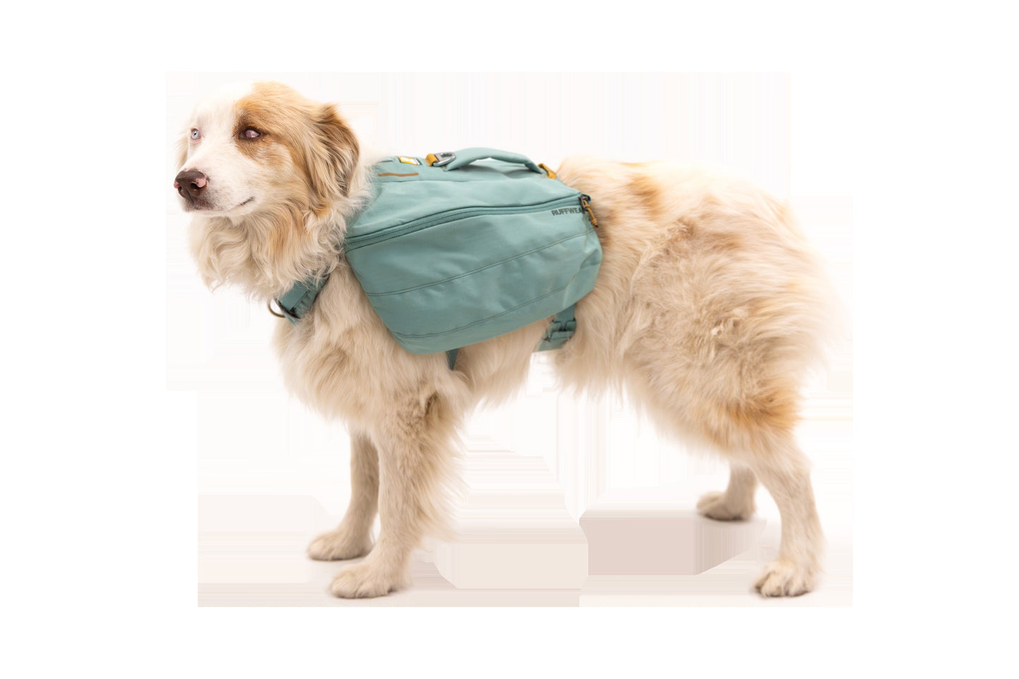 Front Range® Day Pack
