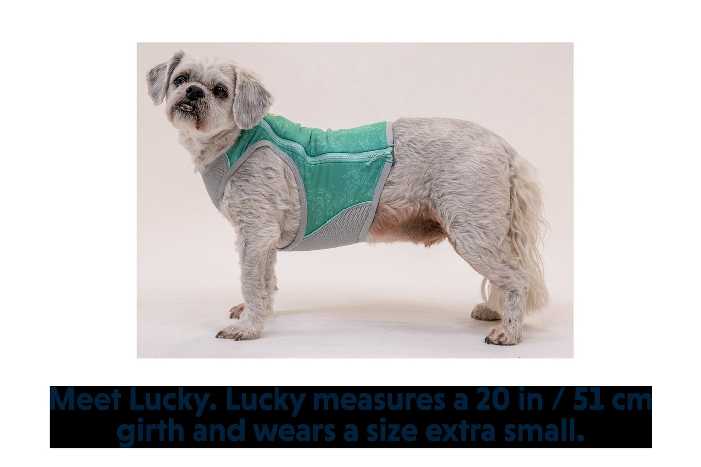 Swamp Cooler ZipTM Cooling Dog Vest