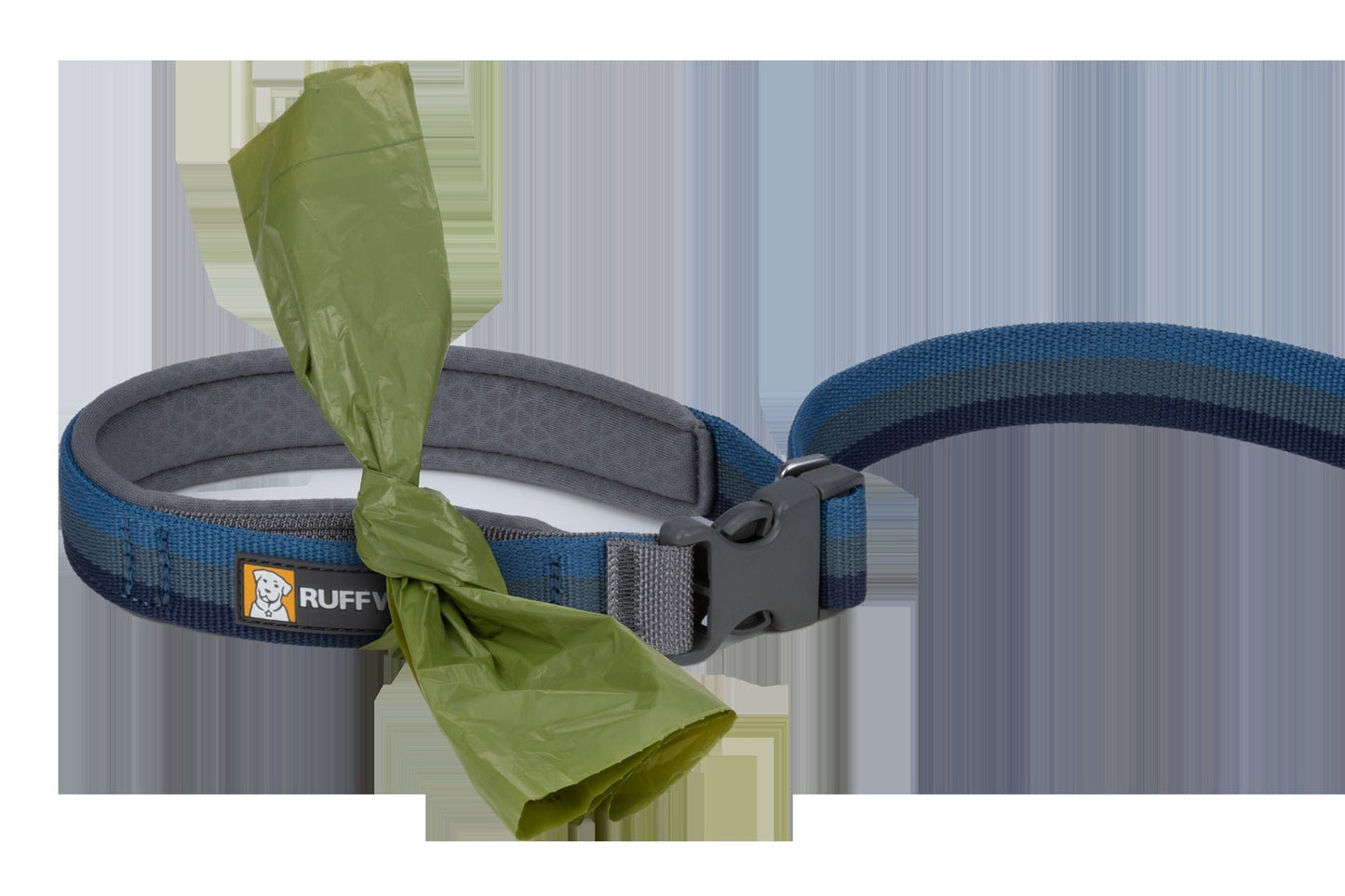 RoamerTM Bungee Dog Leash