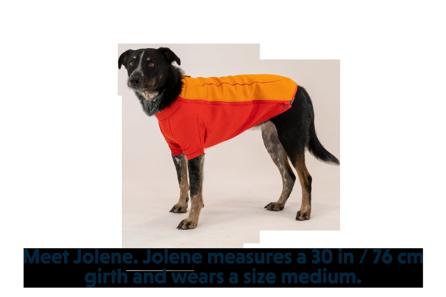 UndercoatTM Dog Water Jacket