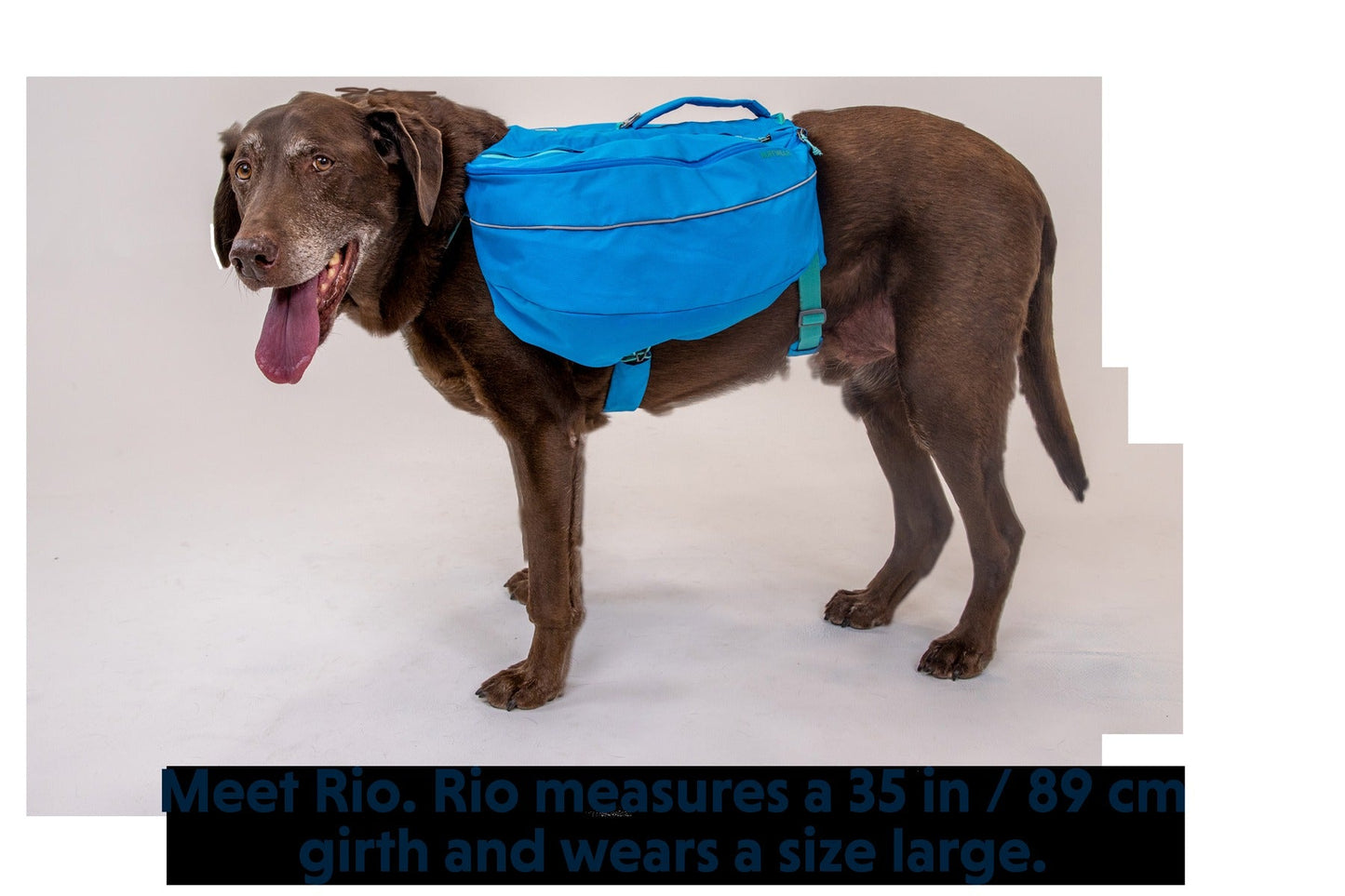 ApproachTM Dog Backpack