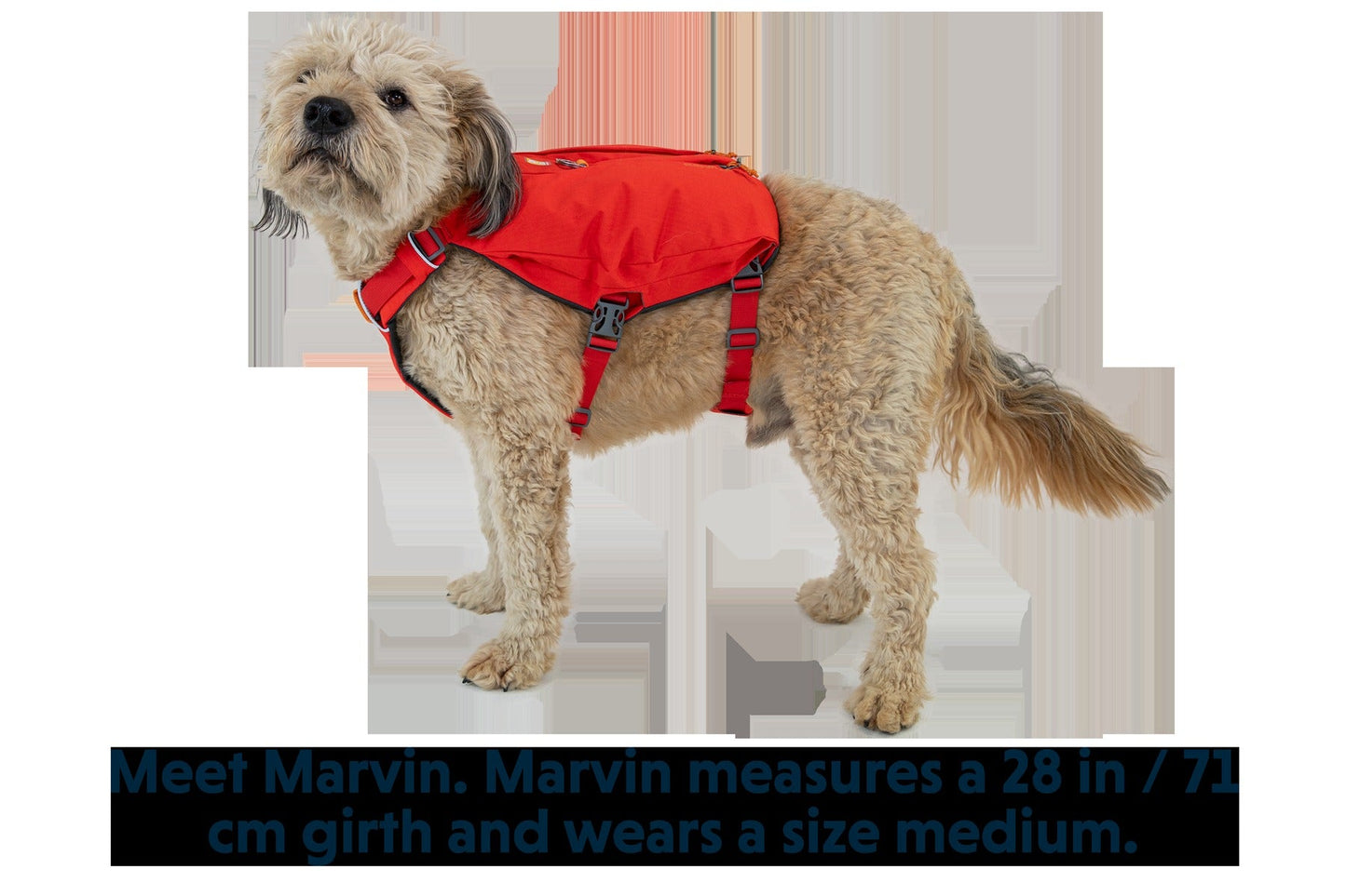 SwitchbakTM Dog Harness
