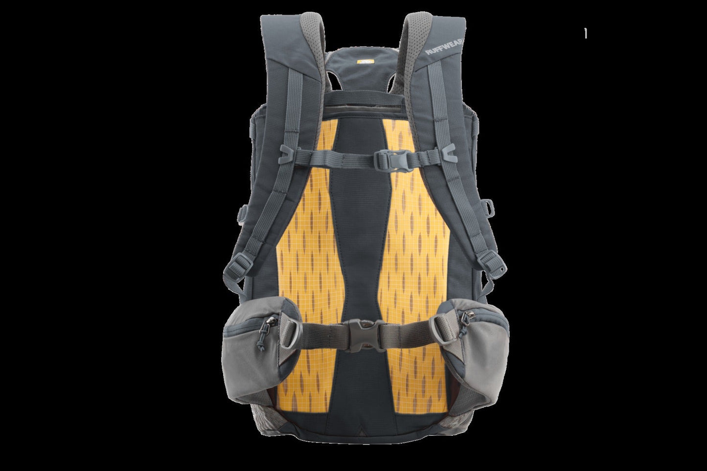 Hitch HikerTM Dog Backpack Carrier