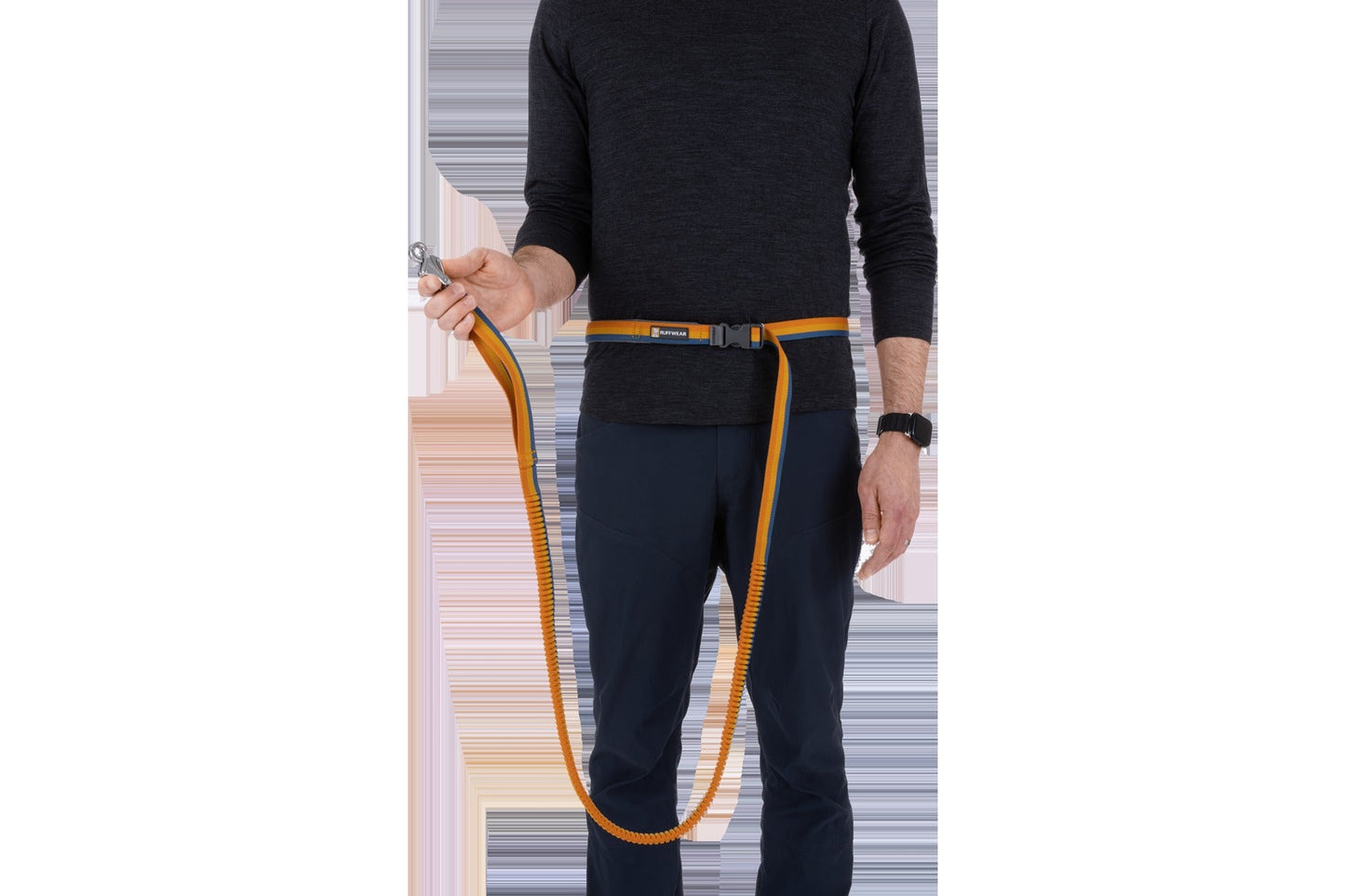 RoamerTM Bungee Dog Leash