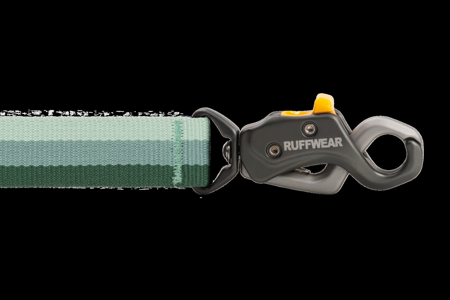 Roamer LockTM Bungee Dog Leash
