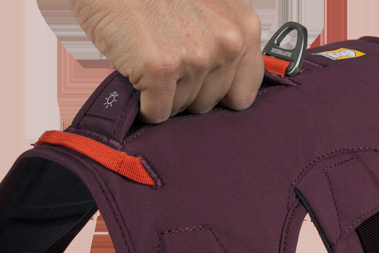 Web MasterTM Dog Harness with Handle