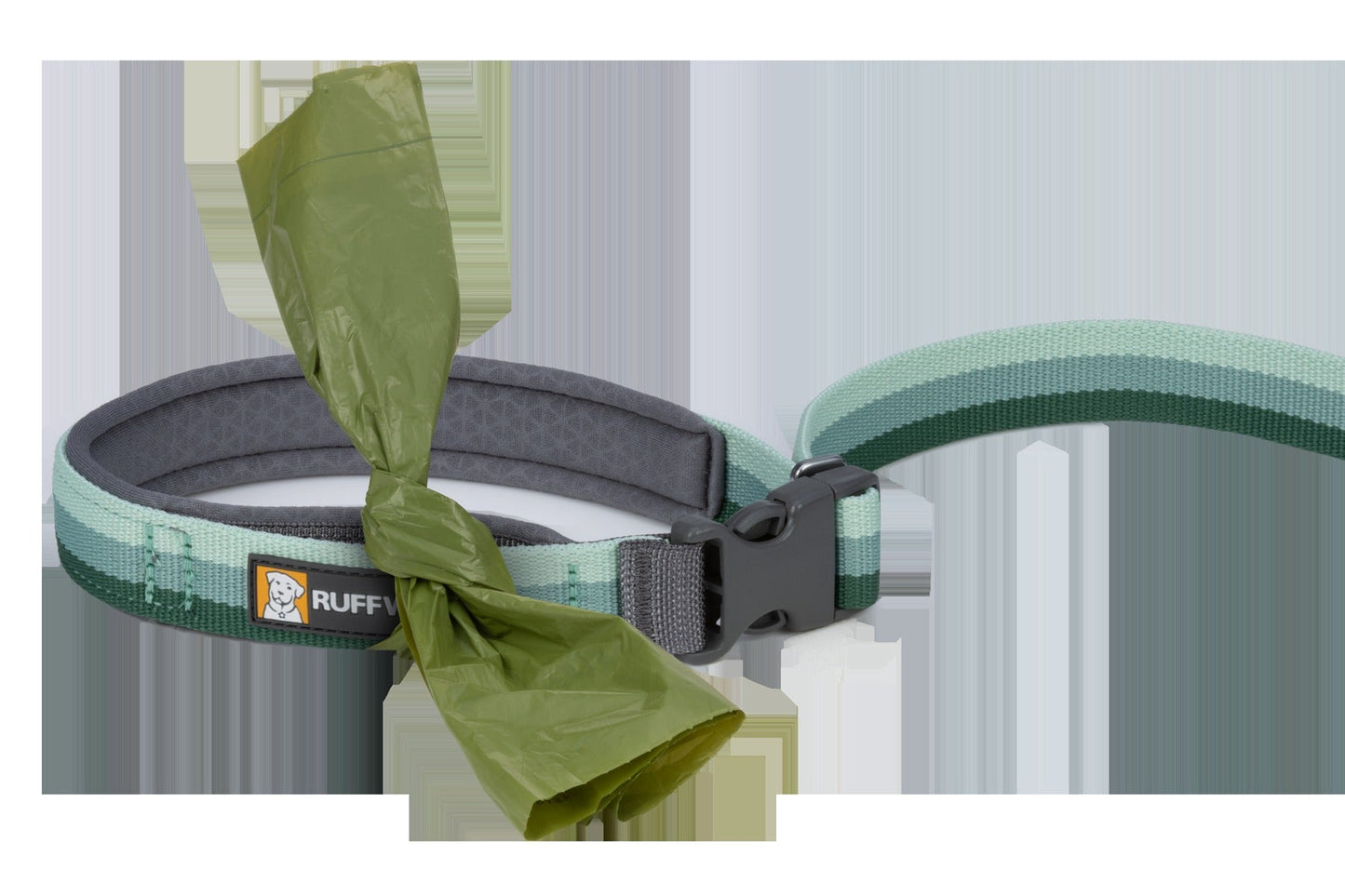 RoamerTM Bungee Dog Leash