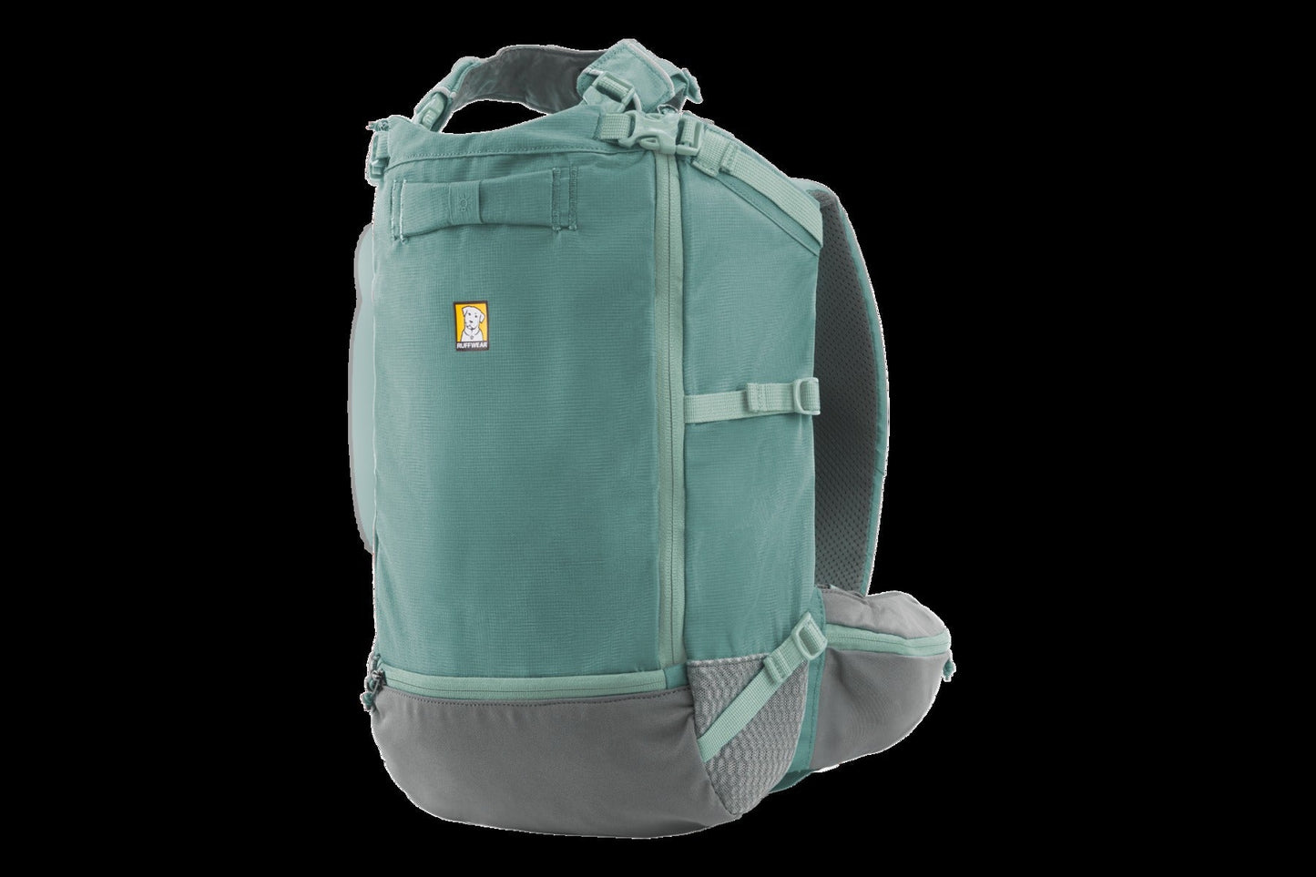 Hitch HikerTM Dog Backpack Carrier