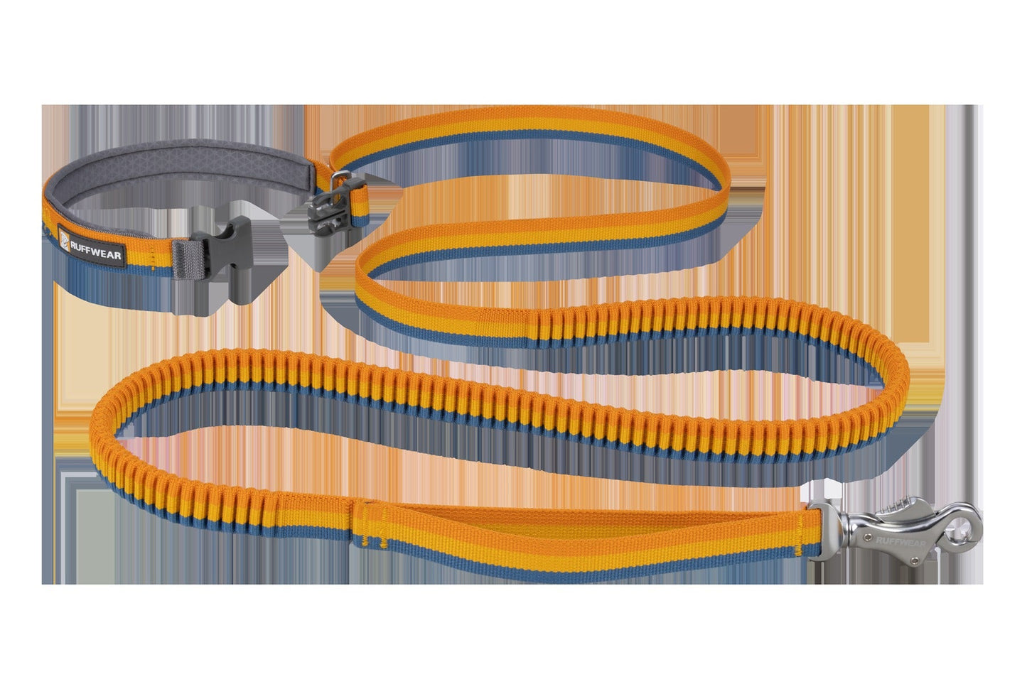 RoamerTM Bungee Dog Leash
