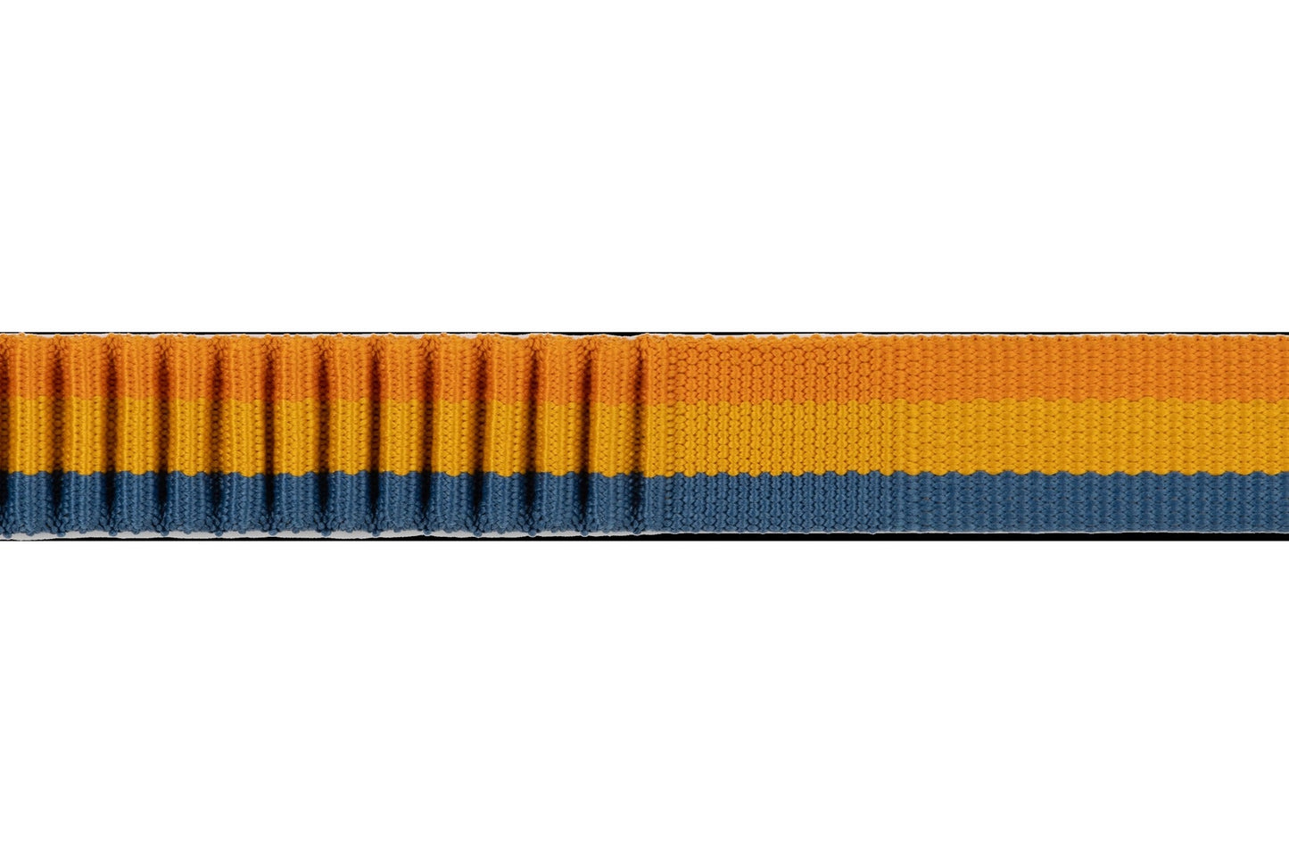 RoamerTM Bungee Dog Leash