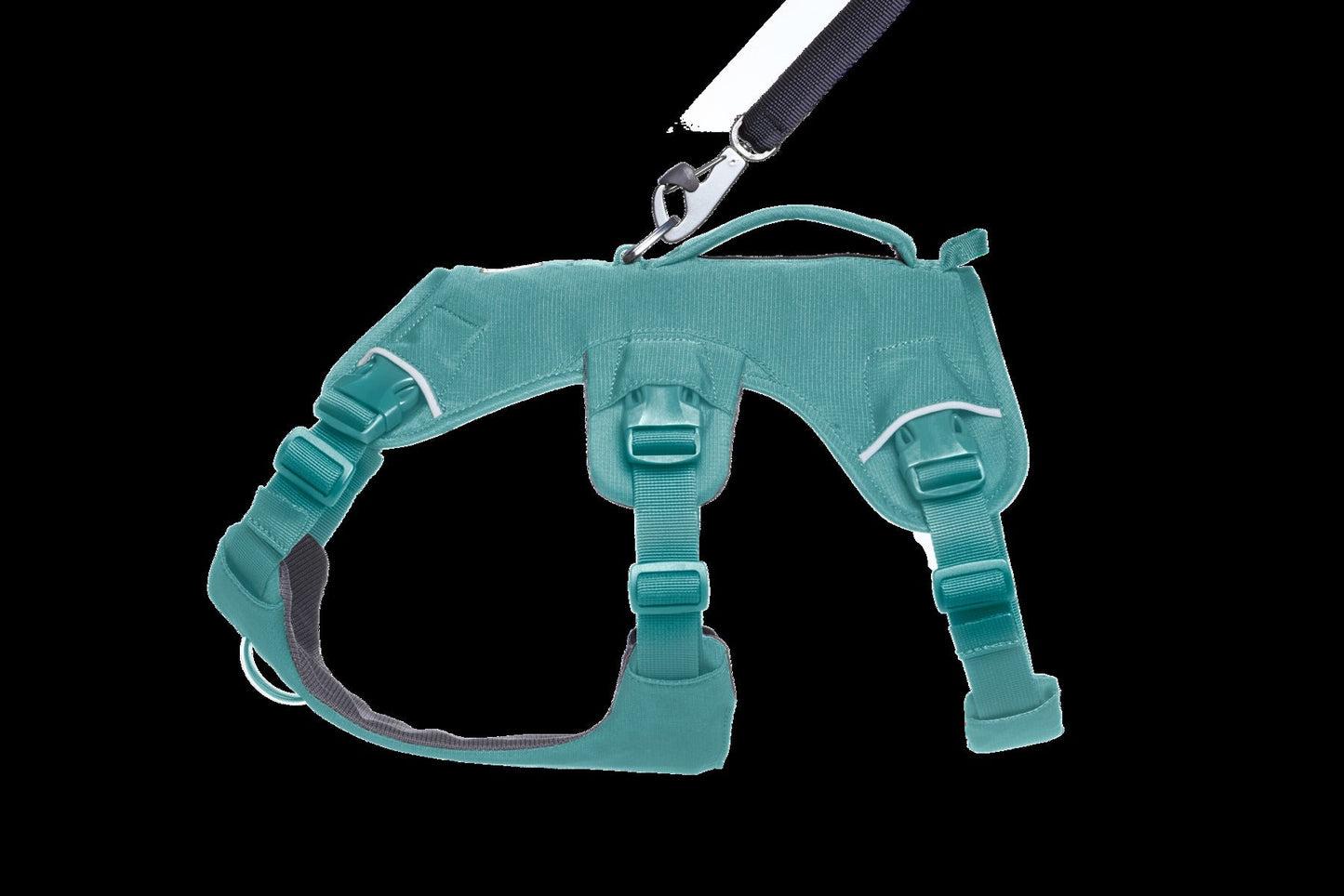 Web MasterTM Dog Harness with Handle