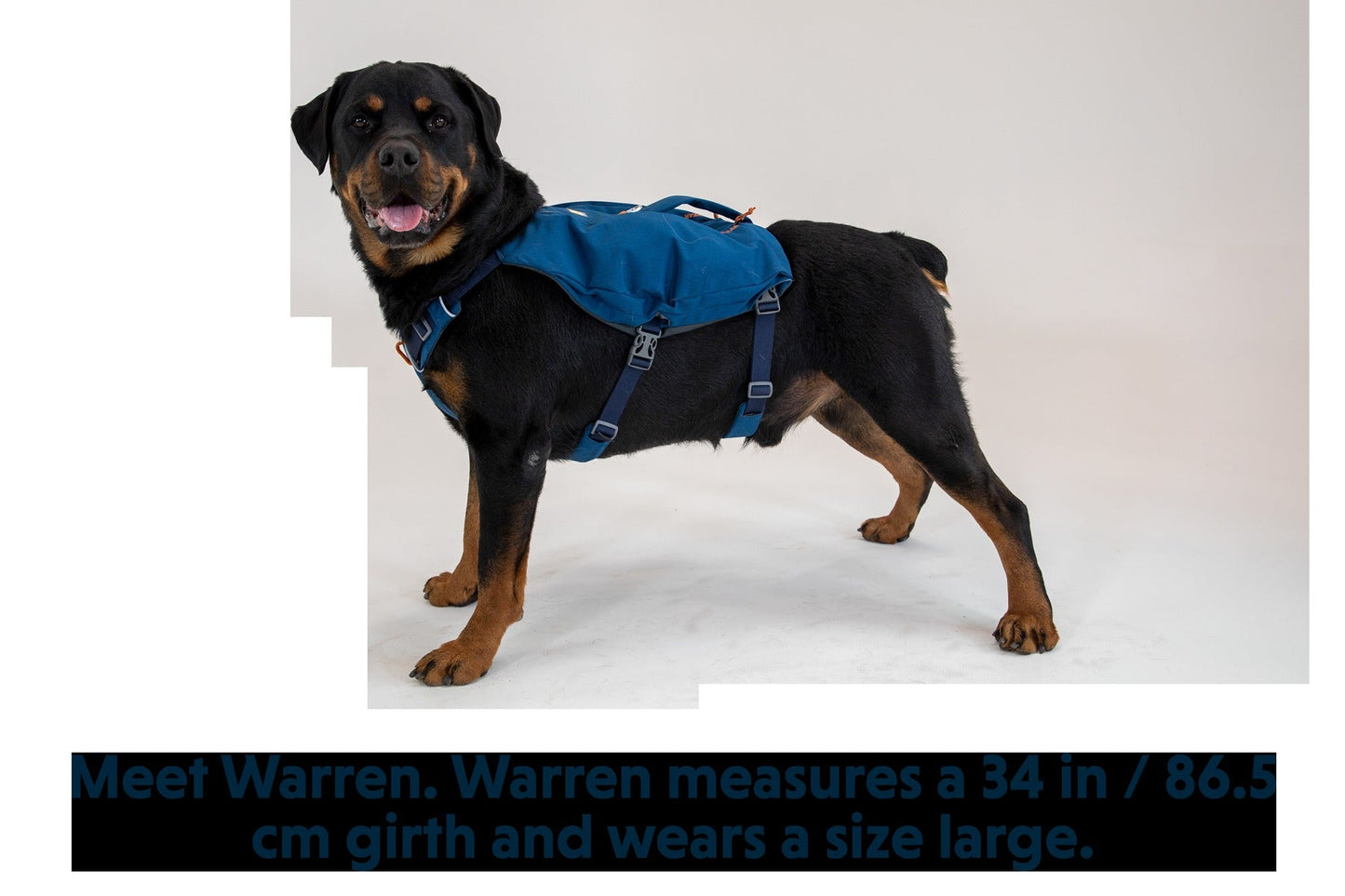 SwitchbakTM Dog Harness