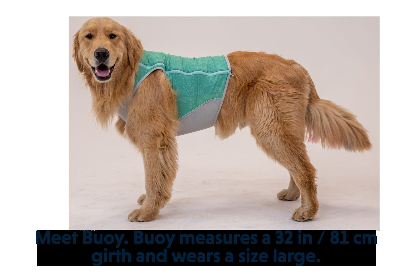 Swamp Cooler ZipTM Cooling Dog Vest