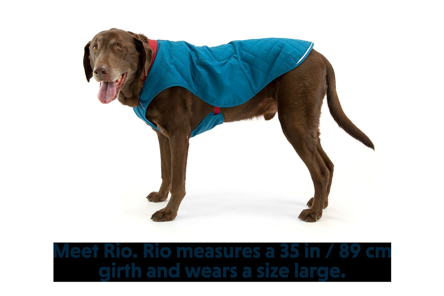 StumptownTM Insulated Vest