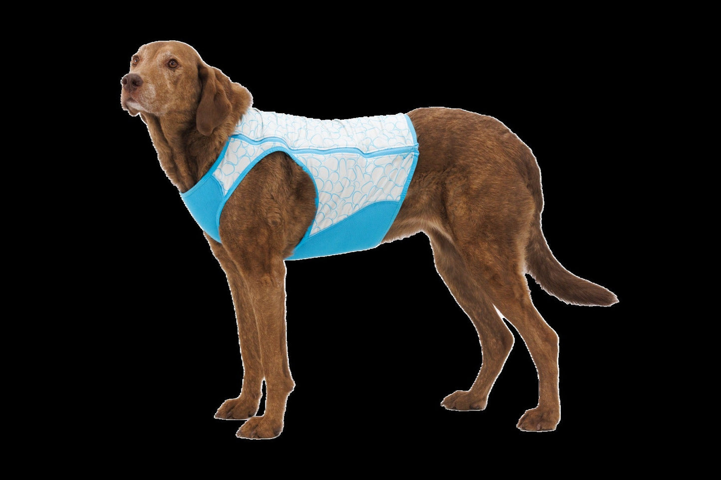 Swamp Cooler ZipTM Cooling Dog Vest