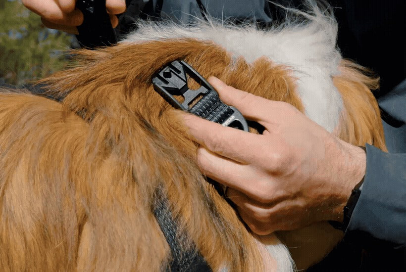 RidgelineTM Collar