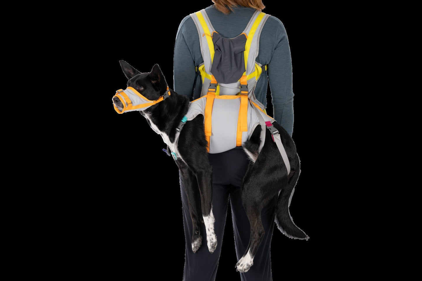 BackTrakTM Dog Evacuation Kit