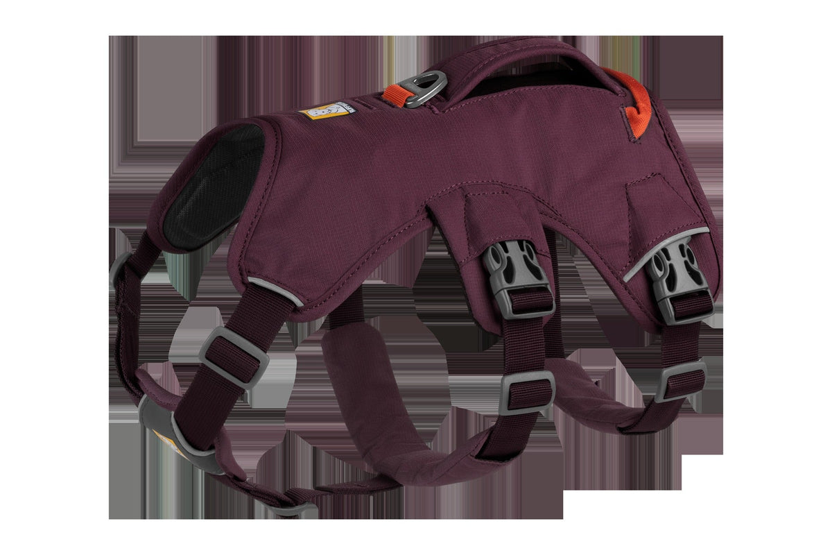 Web MasterTM Dog Harness with Handle
