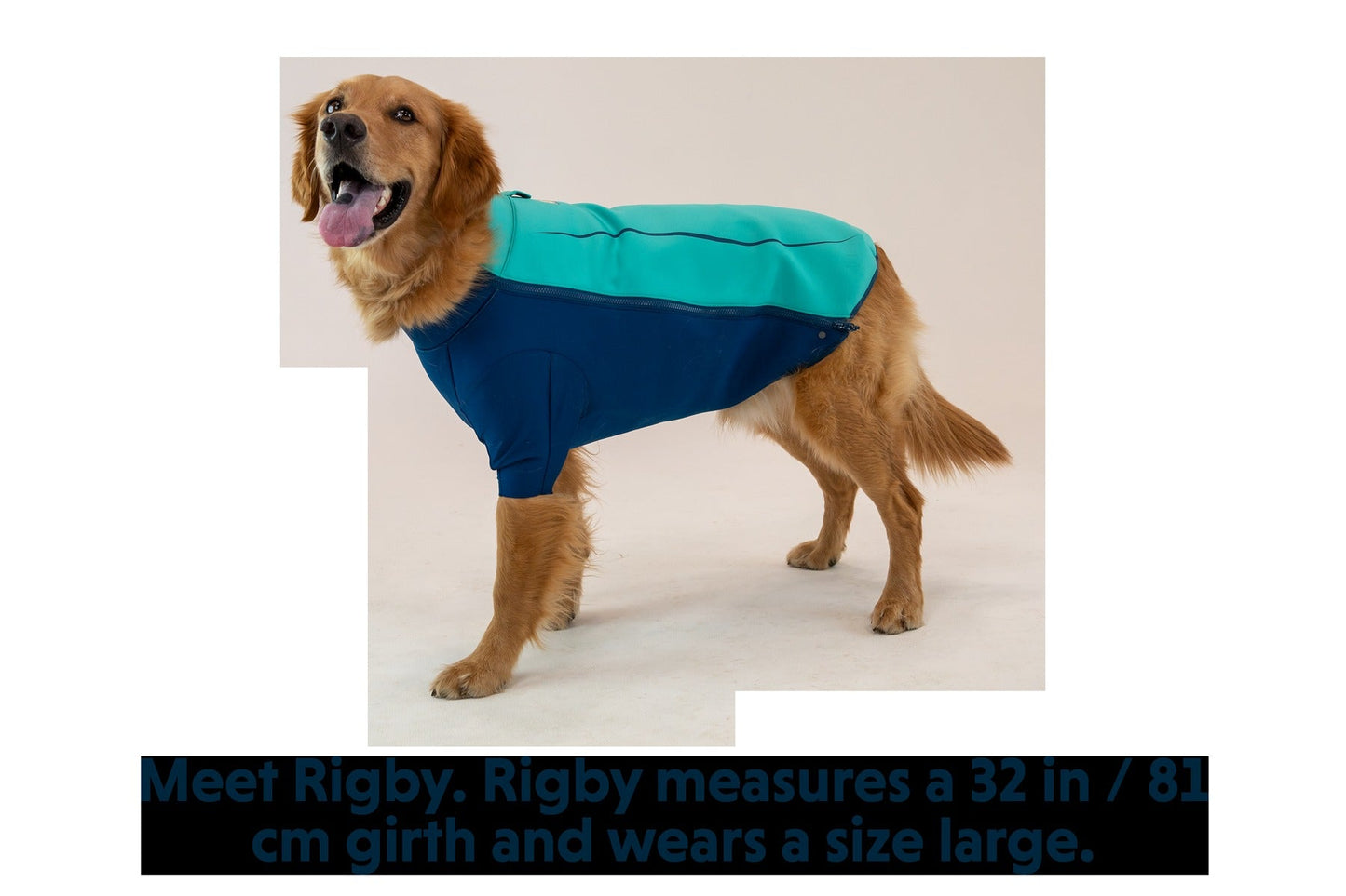 UndercoatTM Dog Water Jacket