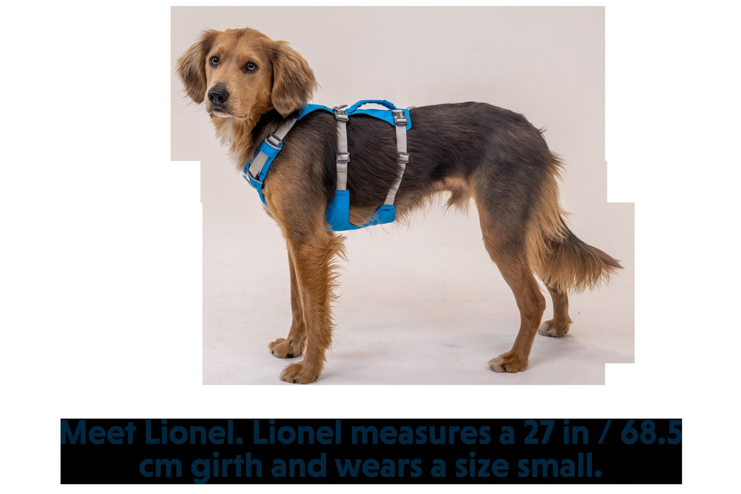 FlaglineTM Dog Harness with Handle