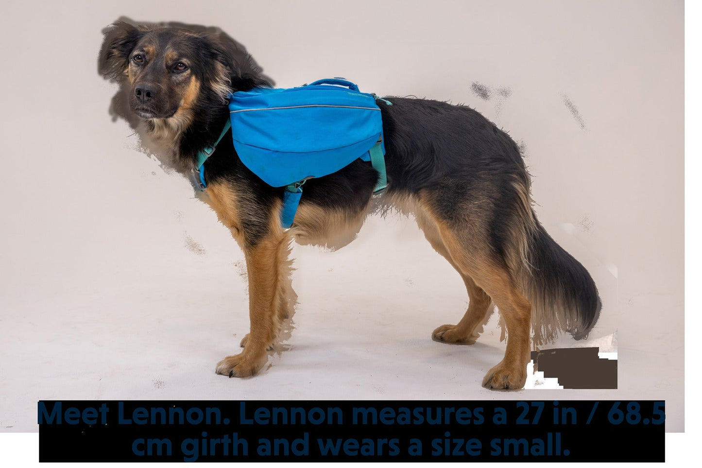 ApproachTM Dog Backpack