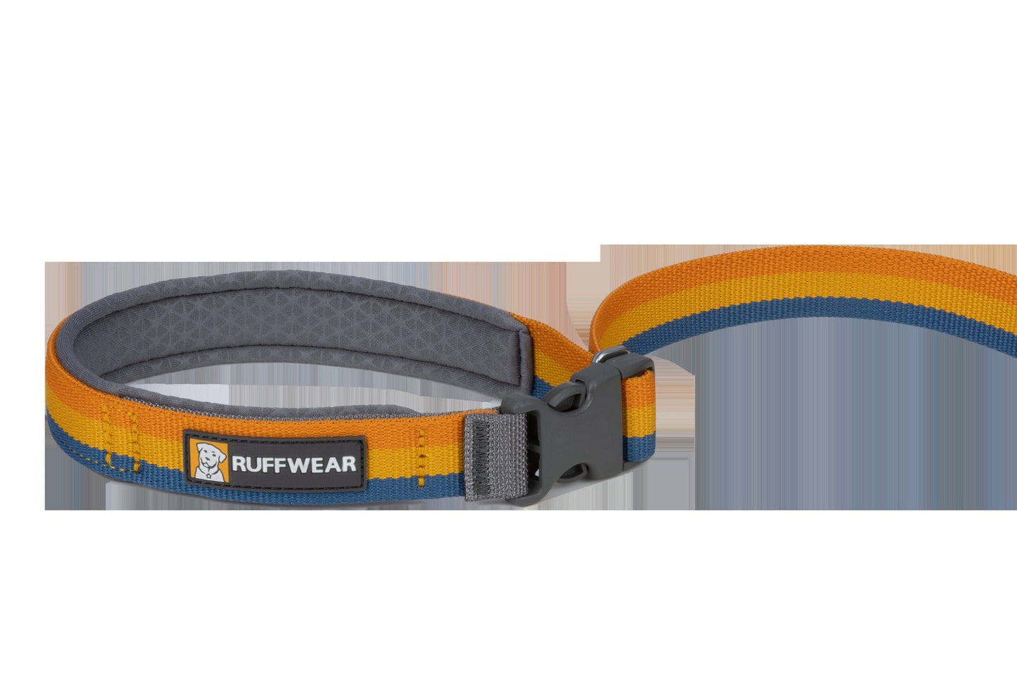 RoamerTM Bungee Dog Leash