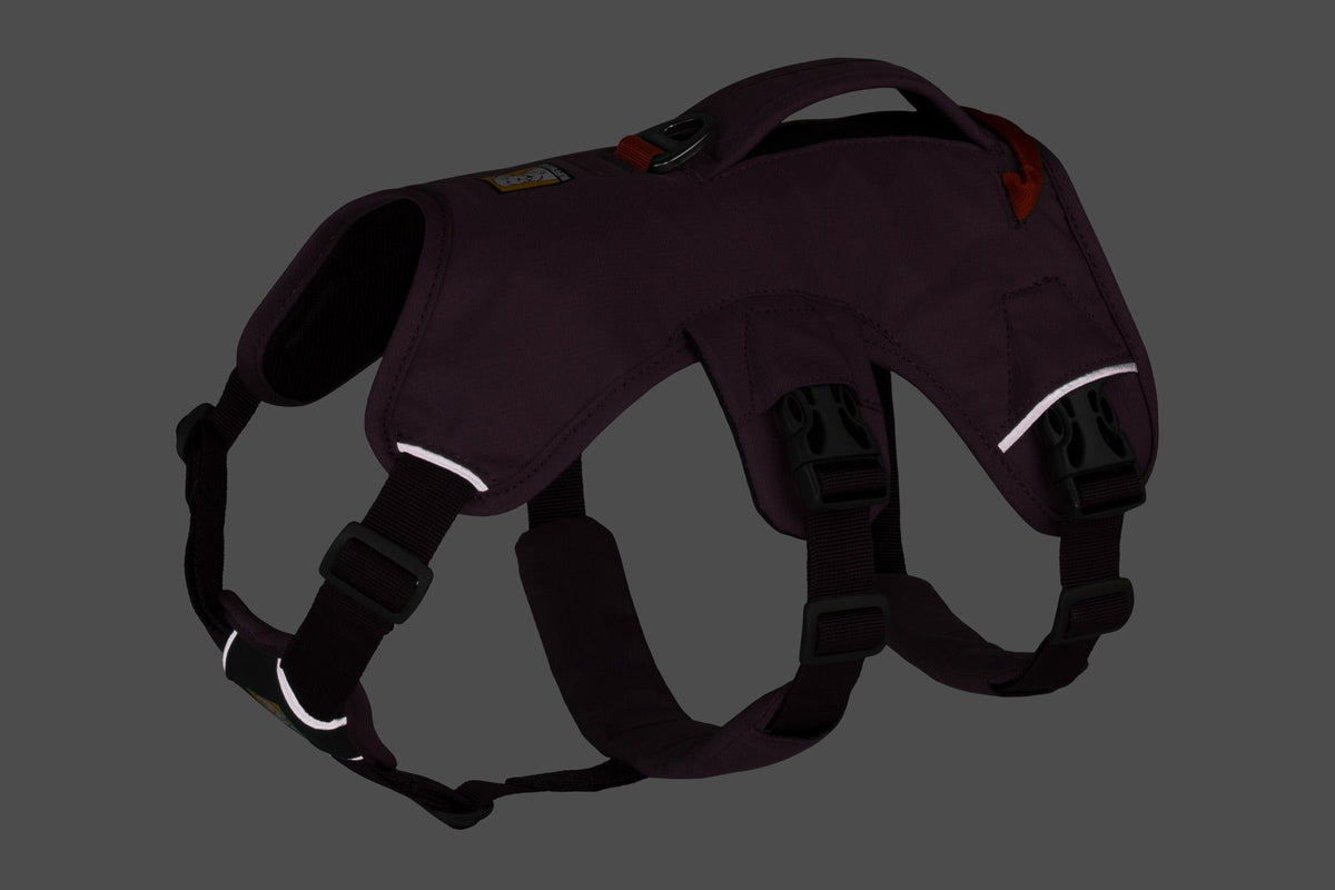 Web MasterTM Dog Harness with Handle