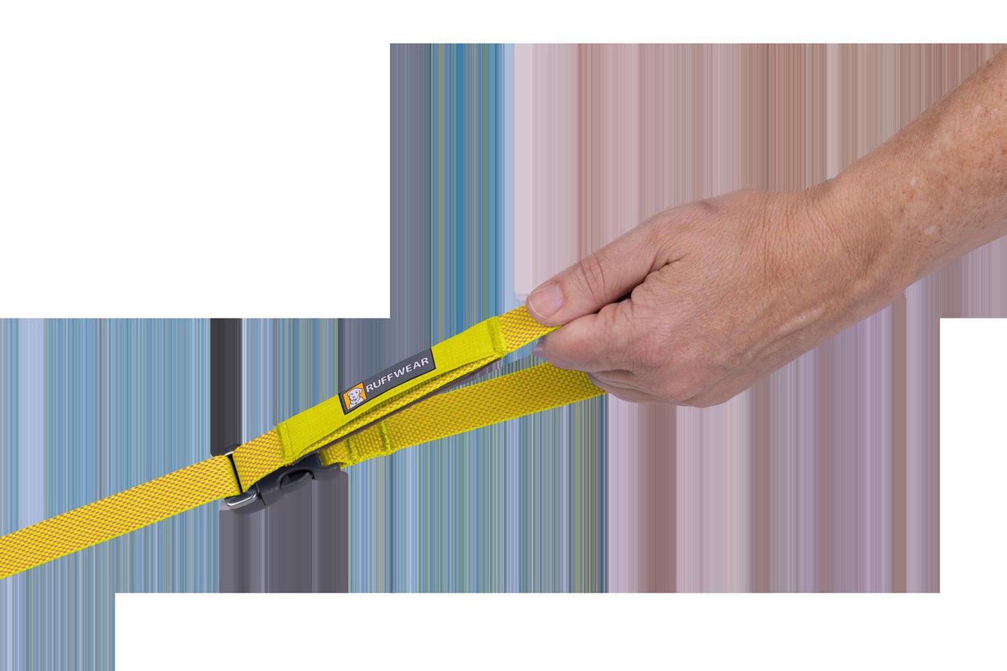 FlaglineTM Dog Leash