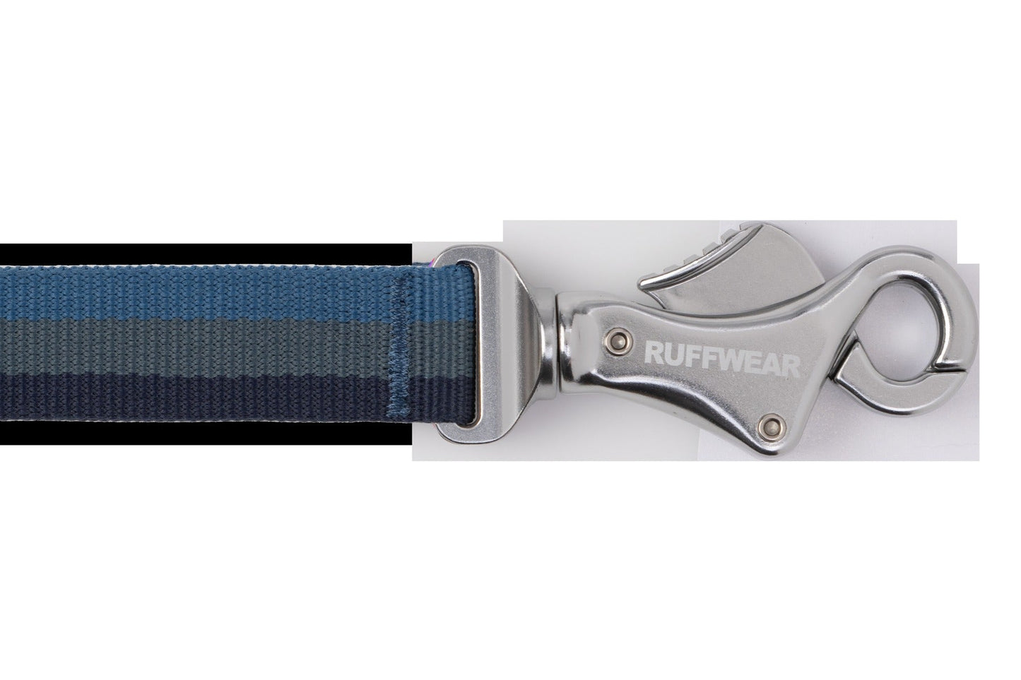 RoamerTM Bungee Dog Leash