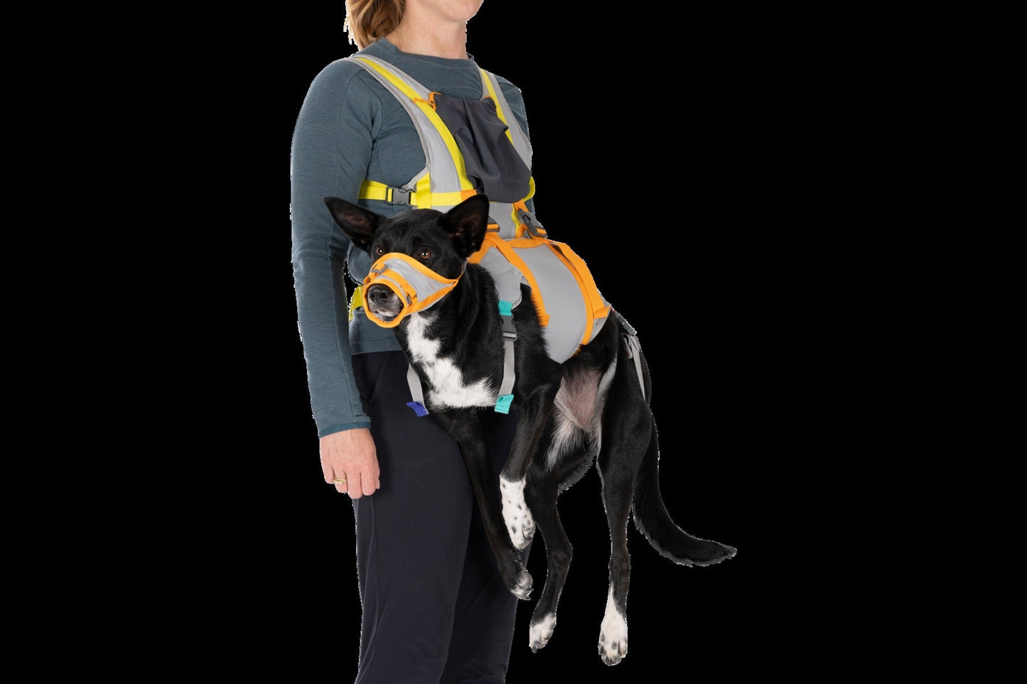 BackTrakTM Dog Evacuation Kit
