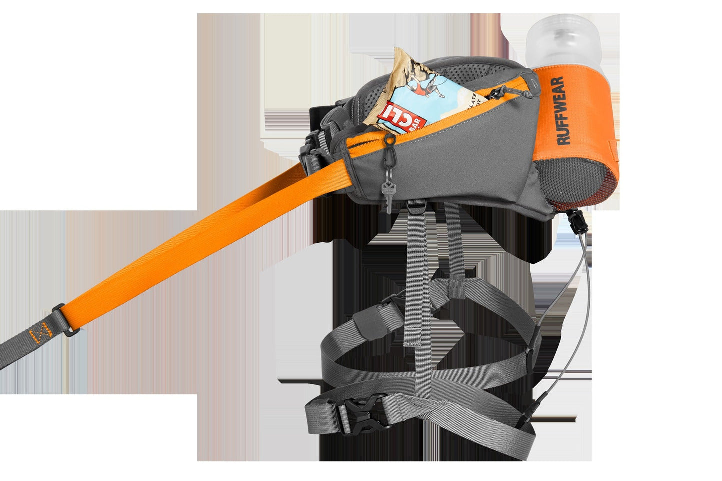 OmnijoreTM Dog Joring System